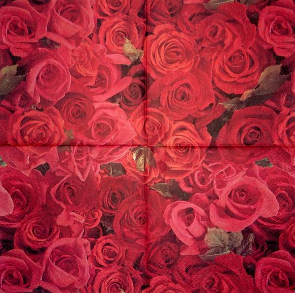 212 Rosen - 3-lagig